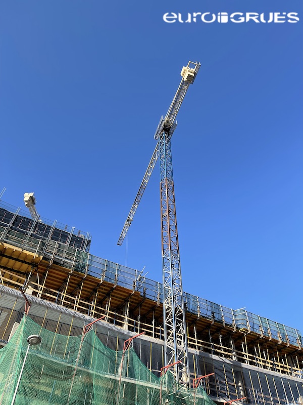Explore Euro Grues